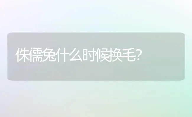 侏儒兔什么时候换毛？ | 动物养殖问答