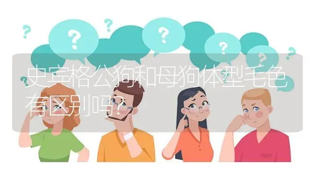 史宾格公狗和母狗体型毛色有区别吗？ | 动物养殖问答