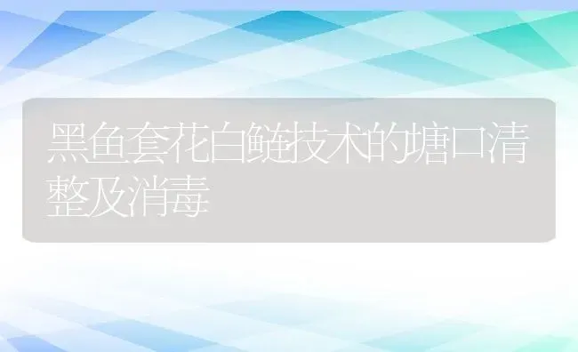 黑鱼套花白鲢技术的塘口清整及消毒 | 动物养殖教程