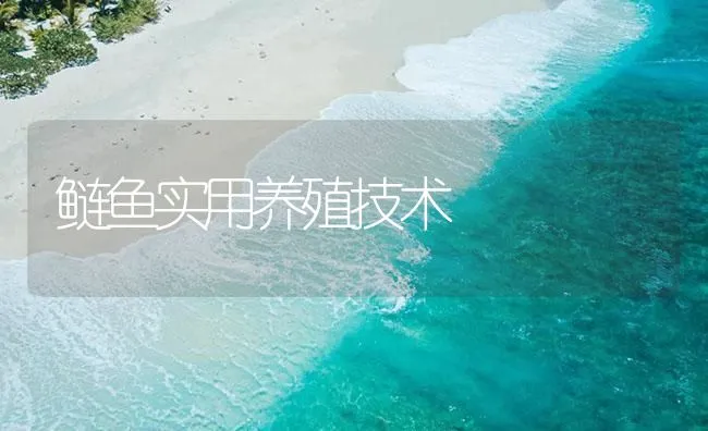 鲢鱼实用养殖技术 | 海水养殖技术