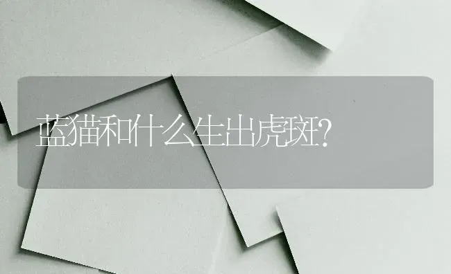 为什么猫不去自己找吃的？ | 动物养殖问答