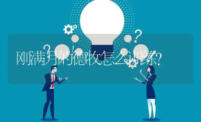 刚满月的德牧怎么训练？ | 动物养殖问答