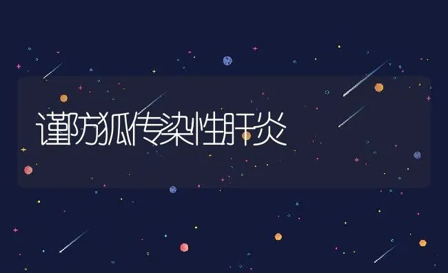 谨防狐传染性肝炎 | 水产养殖知识