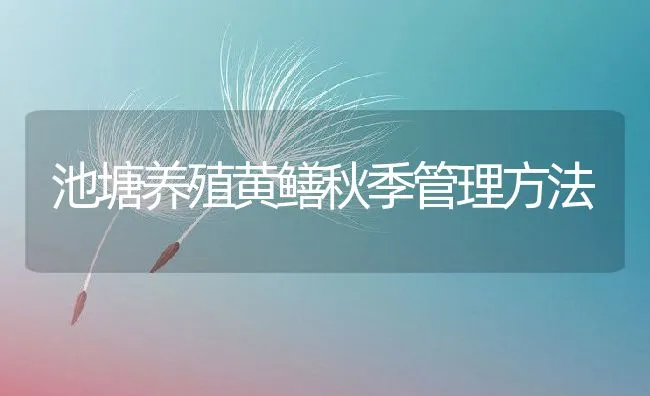 池塘养殖黄鳝秋季管理方法 | 水产养殖知识