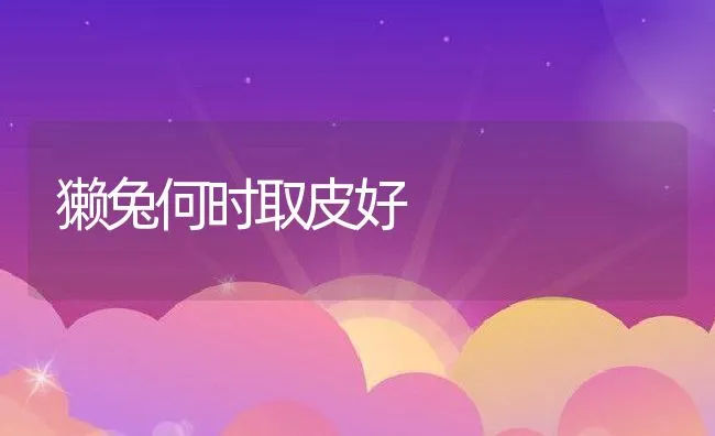 獭兔何时取皮好 | 水产养殖知识