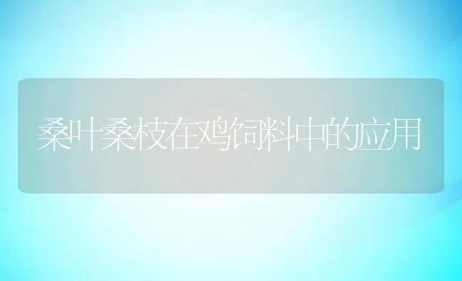 桑叶桑枝在鸡饲料中的应用 | 动物养殖学堂