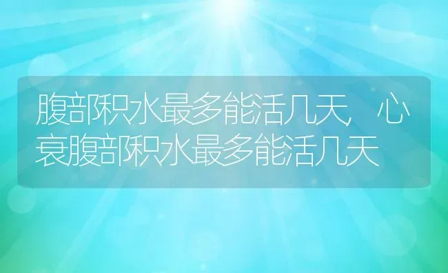 腹部积水最多能活几天,心衰腹部积水最多能活几天 | 宠物百科知识