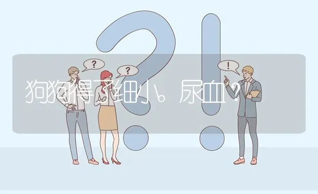 狗狗得了细小。尿血？ | 动物养殖问答