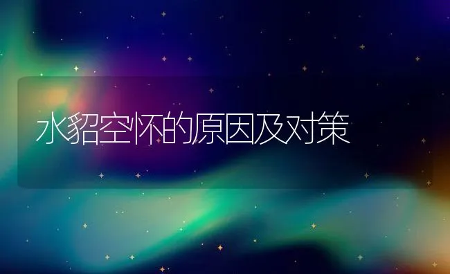 水貂空怀的原因及对策 | 水产养殖知识