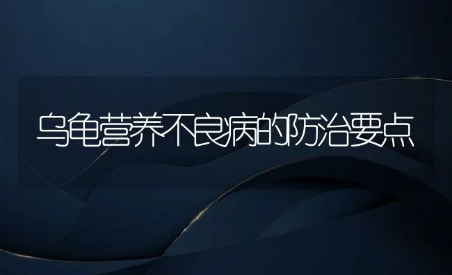 乌龟营养不良病的防治要点 | 动物养殖学堂