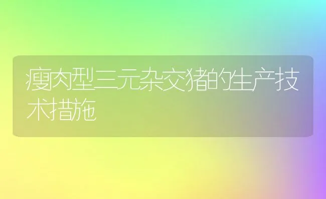 瘦肉型三元杂交猪的生产技术措施 | 动物养殖饲料