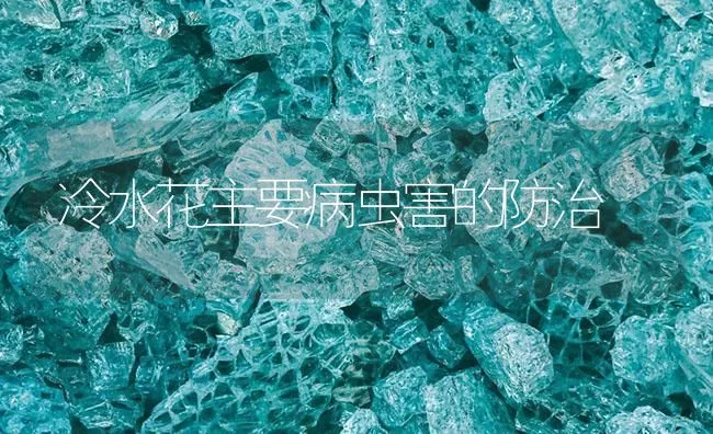 冷水花主要病虫害的防治 | 海水养殖技术