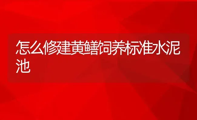 怎么修建黄鳝饲养标准水泥池 | 动物养殖教程