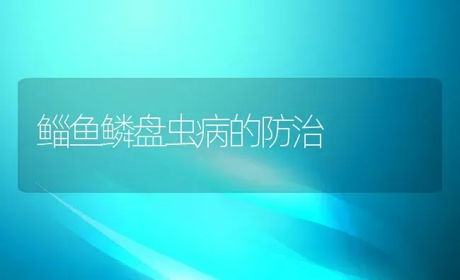 鲻鱼鳞盘虫病的防治 | 淡水养殖技术