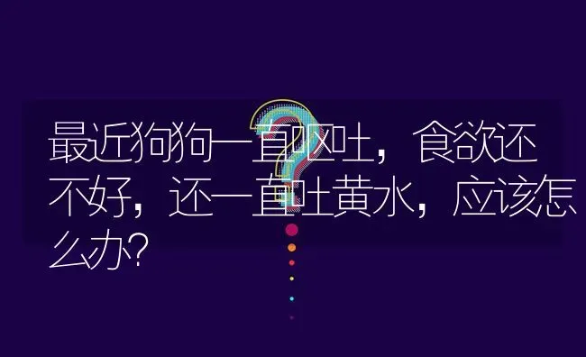 最近狗狗一直呕吐，食欲还不好，还一直吐黄水，应该怎么办？ | 动物养殖问答