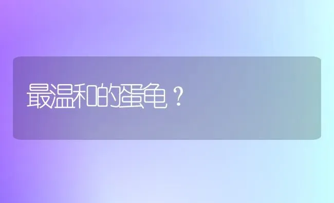 最温和的蛋龟？ | 动物养殖问答