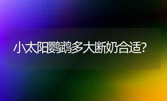 小太阳鹦鹉多大断奶合适？ | 动物养殖问答