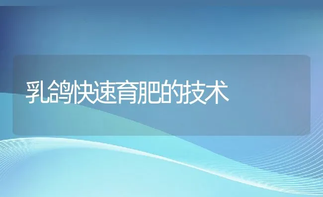 乳鸽快速育肥的技术 | 水产养殖知识