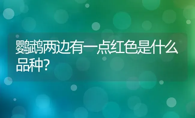 鹦鹉两边有一点红色是什么品种？ | 动物养殖问答