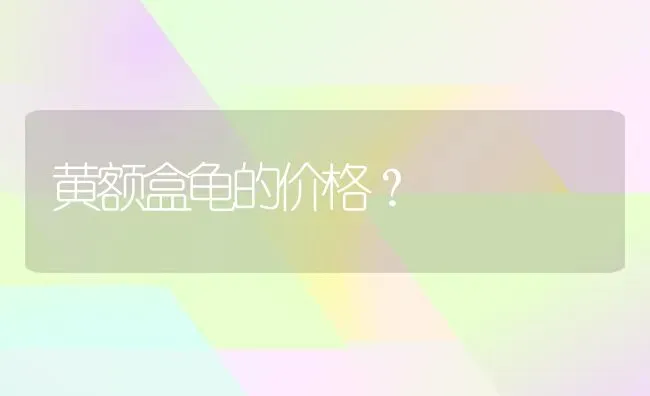 黄额盒龟的价格？ | 动物养殖问答