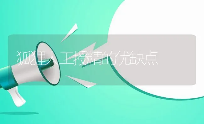 狐狸人工授精的优缺点 | 水产养殖知识