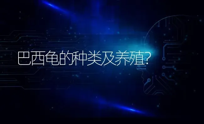 巴西龟的种类及养殖？ | 动物养殖问答