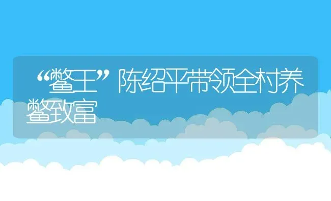 “鳖王”陈绍平带领全村养鳖致富 | 动物养殖百科