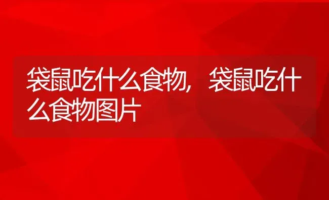 袋鼠吃什么食物,袋鼠吃什么食物图片 | 宠物百科知识