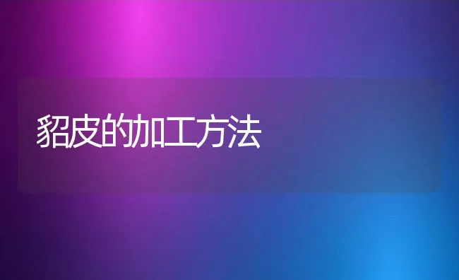 青虾网箱养殖技术 | 海水养殖技术