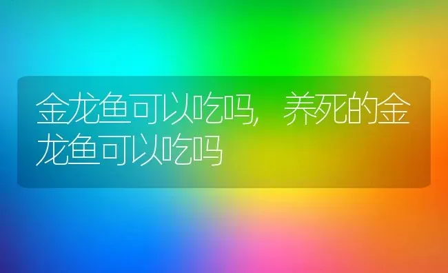 金龙鱼可以吃吗,养死的金龙鱼可以吃吗 | 宠物百科知识