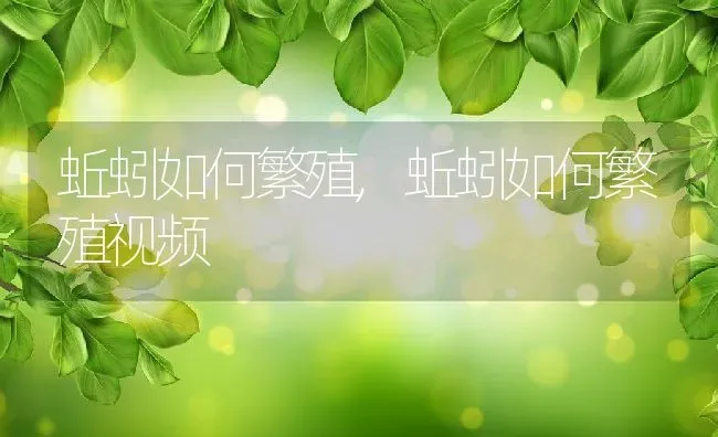 蚯蚓如何繁殖,蚯蚓如何繁殖视频 | 宠物百科知识
