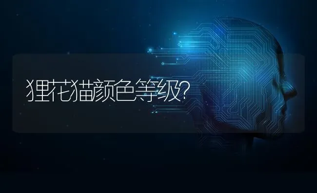 不容易臭还毛茸茸的家禽？ | 动物养殖问答