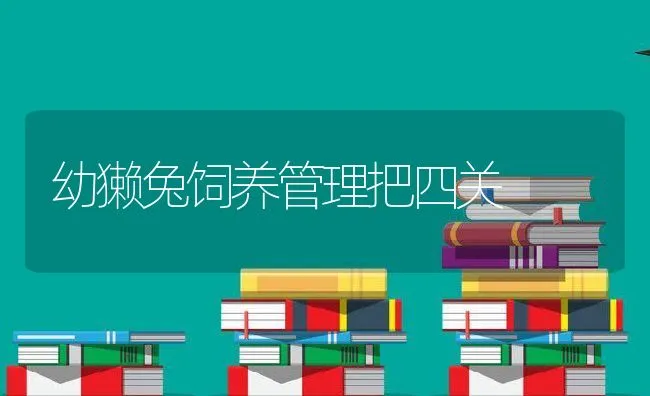 幼獭兔饲养管理把四关 | 动物养殖饲料