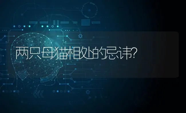 新买的英国斗牛犬，一直在叫，请问什么原因？ | 动物养殖问答