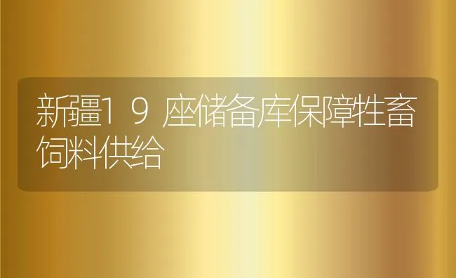 新疆19座储备库保障牲畜饲料供给 | 动物养殖饲料