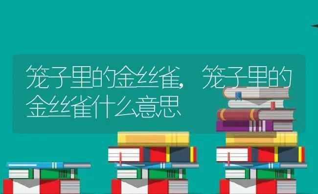 笼子里的金丝雀,笼子里的金丝雀什么意思 | 宠物百科知识