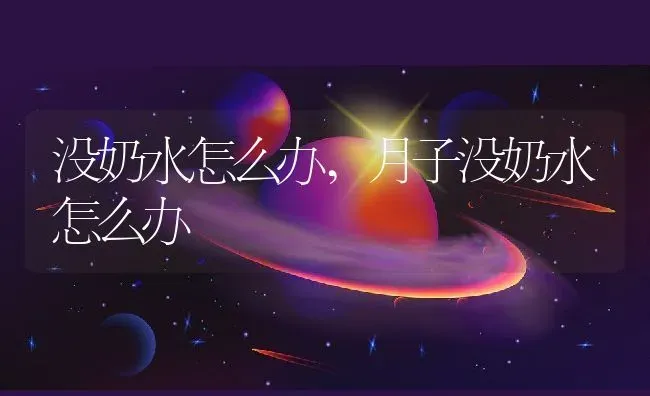 没奶水怎么办,月子没奶水怎么办 | 宠物百科知识