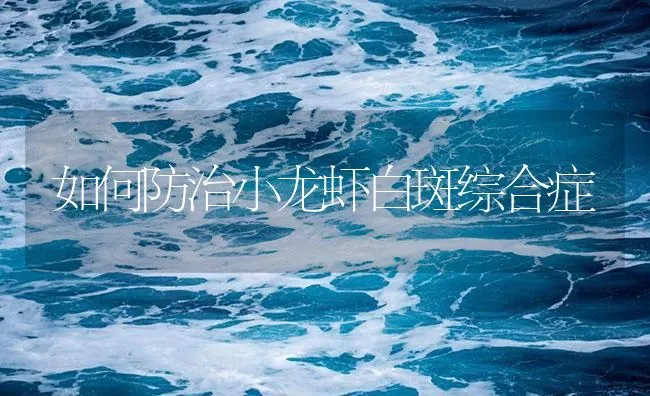 如何防治小龙虾白斑综合症 | 海水养殖技术