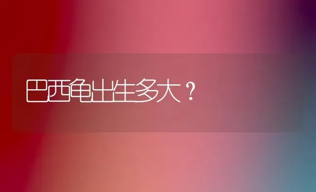 巴西龟出生多大？ | 动物养殖问答