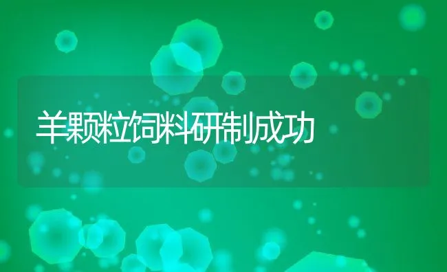 3月份水产养殖技术要点 | 海水养殖技术