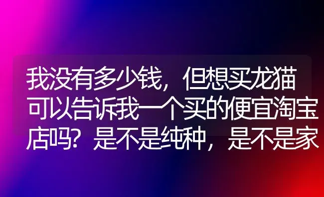 我没有多少钱，但想买龙猫可以告诉我一个买的便宜淘宝店吗?是不是纯种，是不是家养都无所谓，凉山州哪里有卖？ | 动物养殖问答