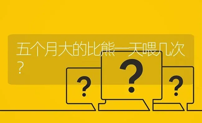 50天的萨摩耶要注意什么？ | 动物养殖问答