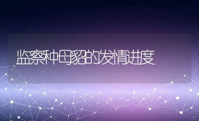 监察种母貂的发情进度 | 动物养殖学堂