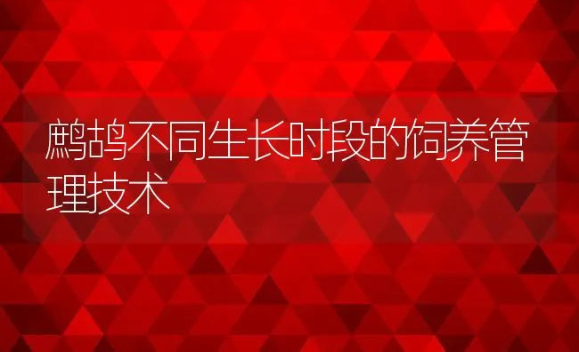 鹧鸪不同生长时段的饲养管理技术 | 水产养殖知识