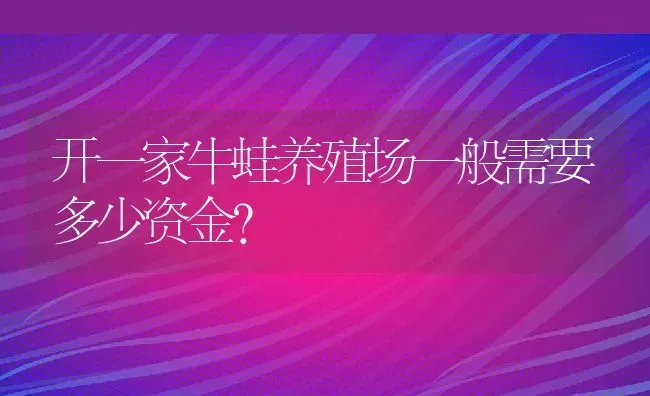 开一家牛蛙养殖场一般需要多少资金？ | 动物养殖百科