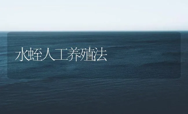 水蛭人工养殖法 | 海水养殖技术