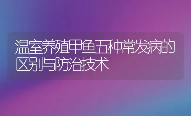 温室养殖甲鱼五种常发病的区别与防治技术 | 水产养殖知识