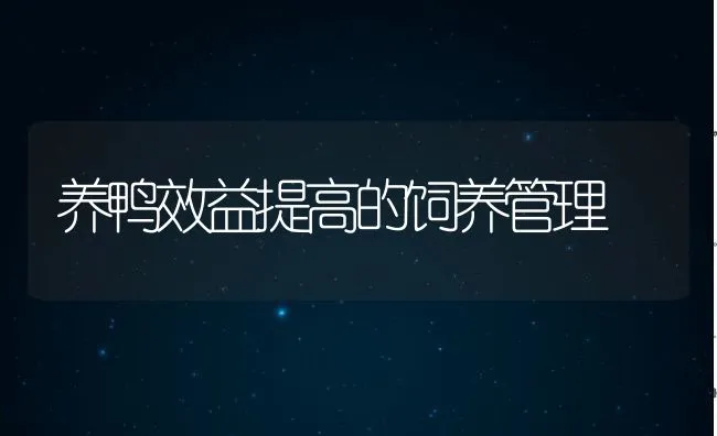 养鸭效益提高的饲养管理 | 动物养殖饲料