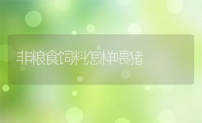 温室甲鱼养殖进程中的水质节制 | 动物养殖学堂