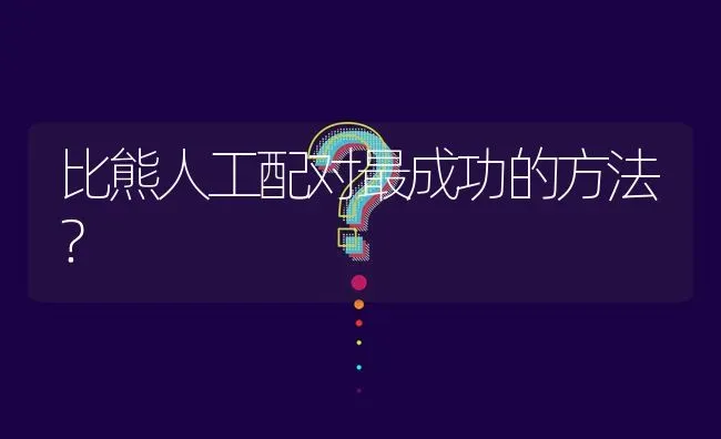 比熊人工配对最成功的方法？ | 动物养殖问答